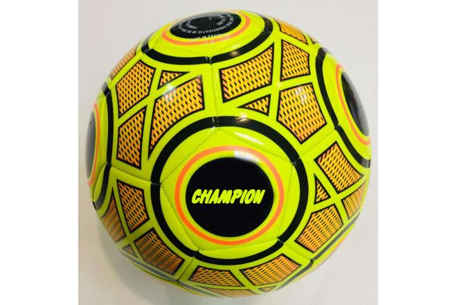 Soccer champion multiple prints 320 grams