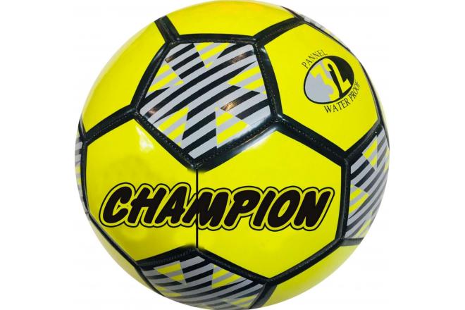 Soccer champion multiple prints 320 grams