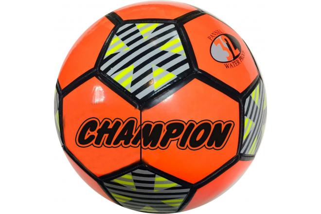 Soccer champion multiple prints 320 grams