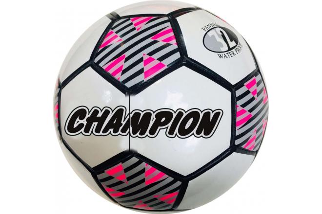 Soccer champion multiple prints 320 grams