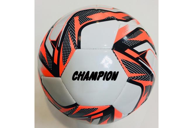 Soccer champion multiple prints 320 grams